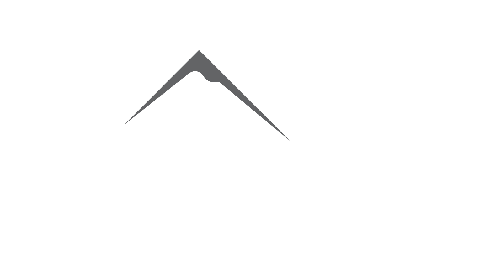 INTEPO Logo